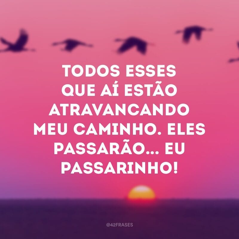 Todos esses que aí estão atravancando meu caminho. Eles passarão... Eu passarinho!