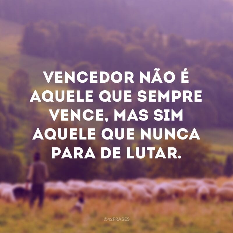 Vencedor não é aquele que sempre vence, mas sim aquele que nunca para de lutar.