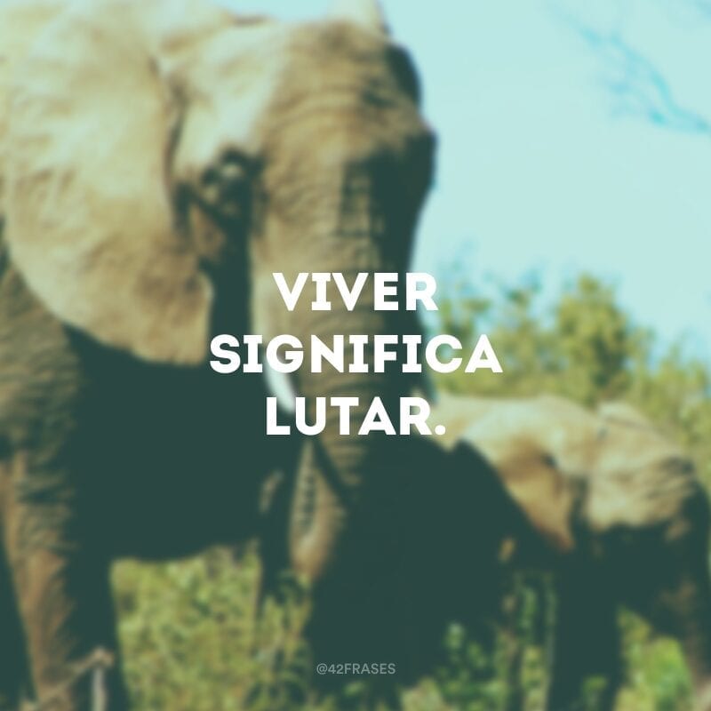 Viver significa lutar.