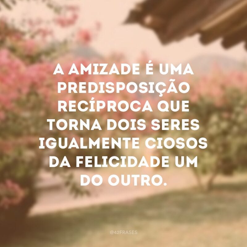 A amizade é uma predisposição recíproca que torna dois seres igualmente ciosos da felicidade um do outro.