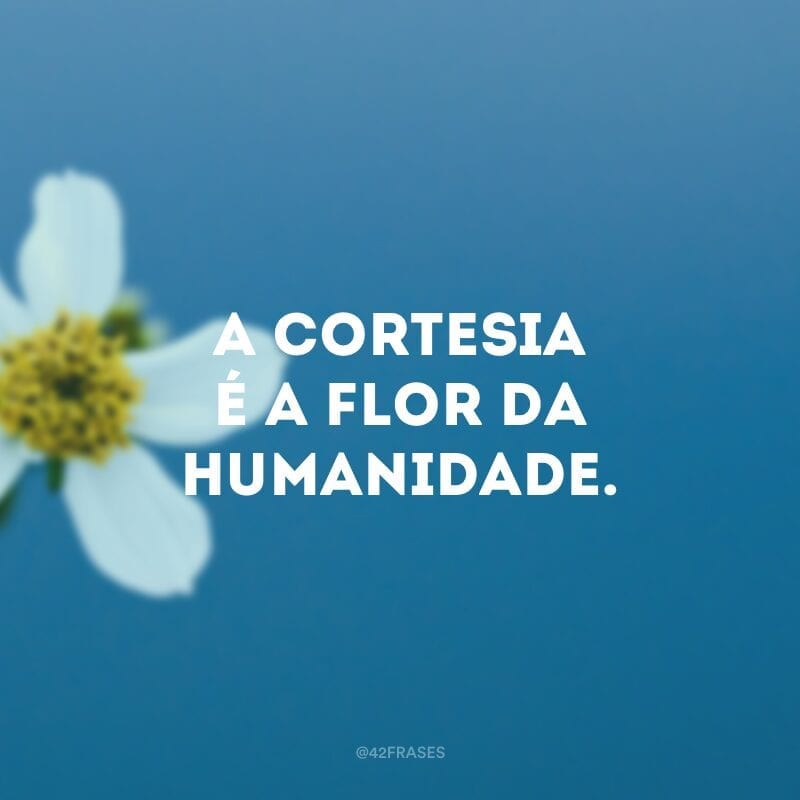 A cortesia é a flor da humanidade.