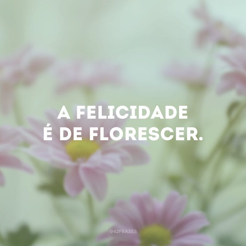 A felicidade é de florescer.