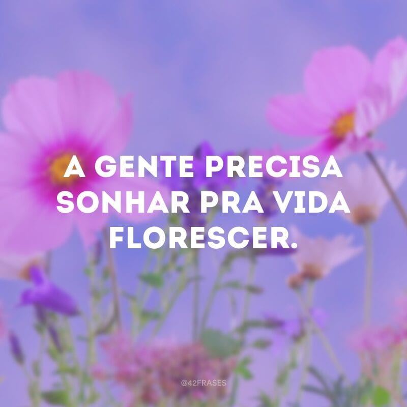 A gente precisa sonhar pra vida florescer.