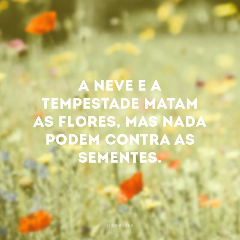 A neve e a tempestade matam as flores, mas nada podem contra as sementes.