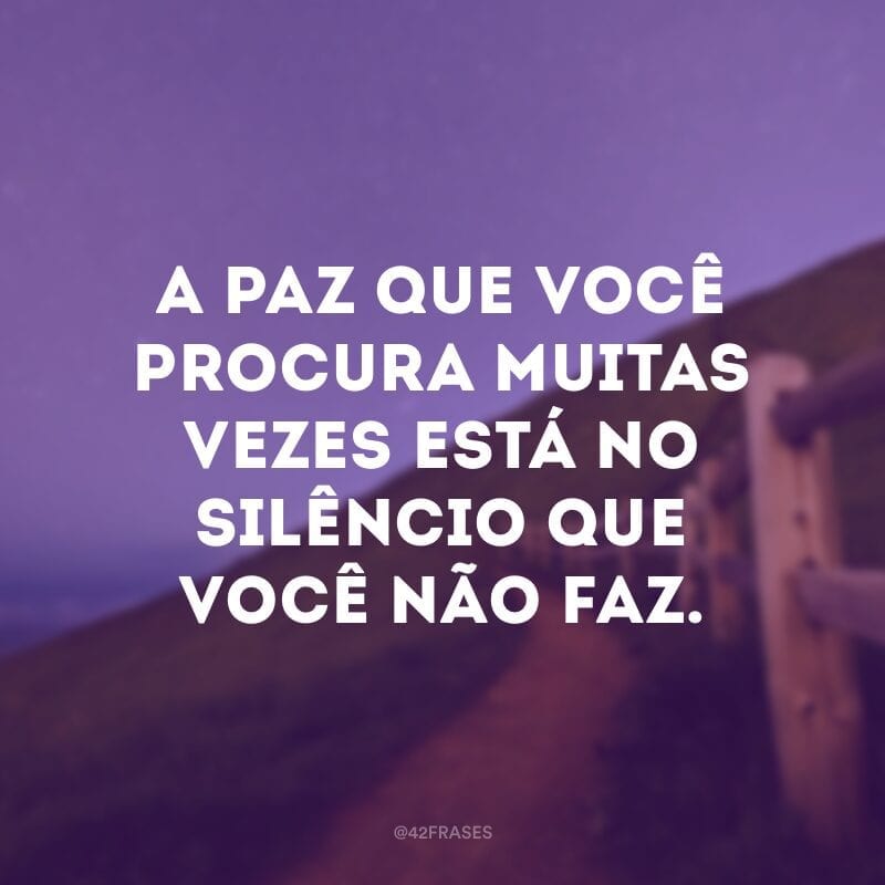 A paz que você procura muitas vezes está no silêncio que você não faz.