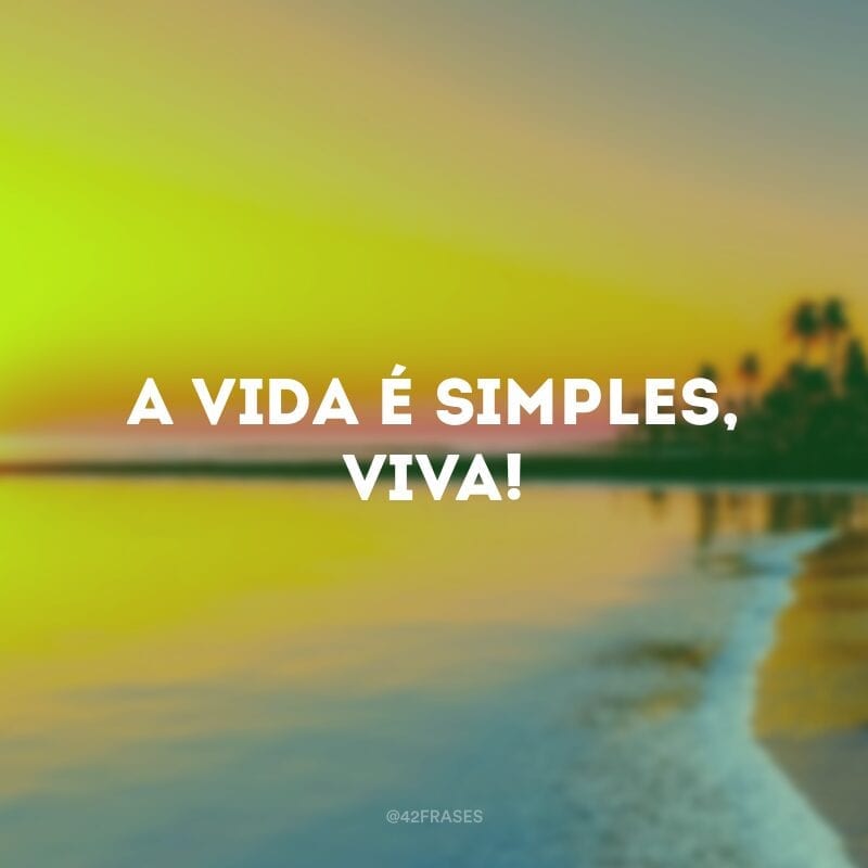 A vida é simples, viva!