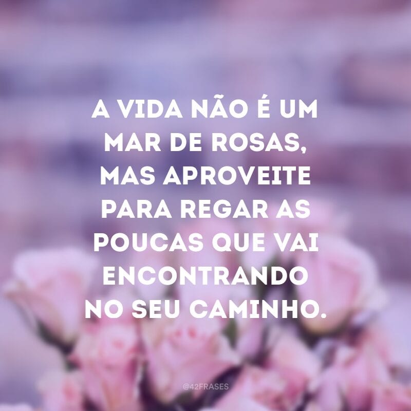 A vida não é um mar de rosas, mas aproveite para regar as poucas que vai encontrando no seu caminho.