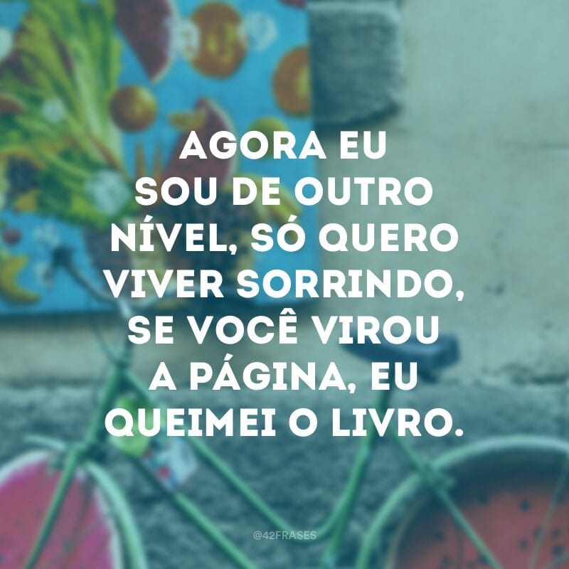 Agora eu sou de outro nível, só quero viver sorrindo, se você virou a página, eu queimei o livro.