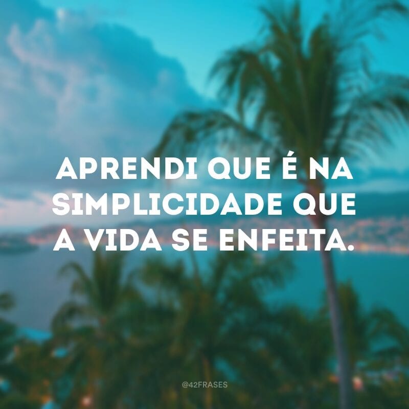 Aprendi que é na simplicidade que a vida se enfeita.