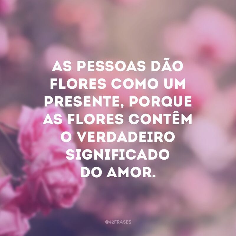 As pessoas dão flores como um presente, porque as flores contêm o verdadeiro significado do amor.