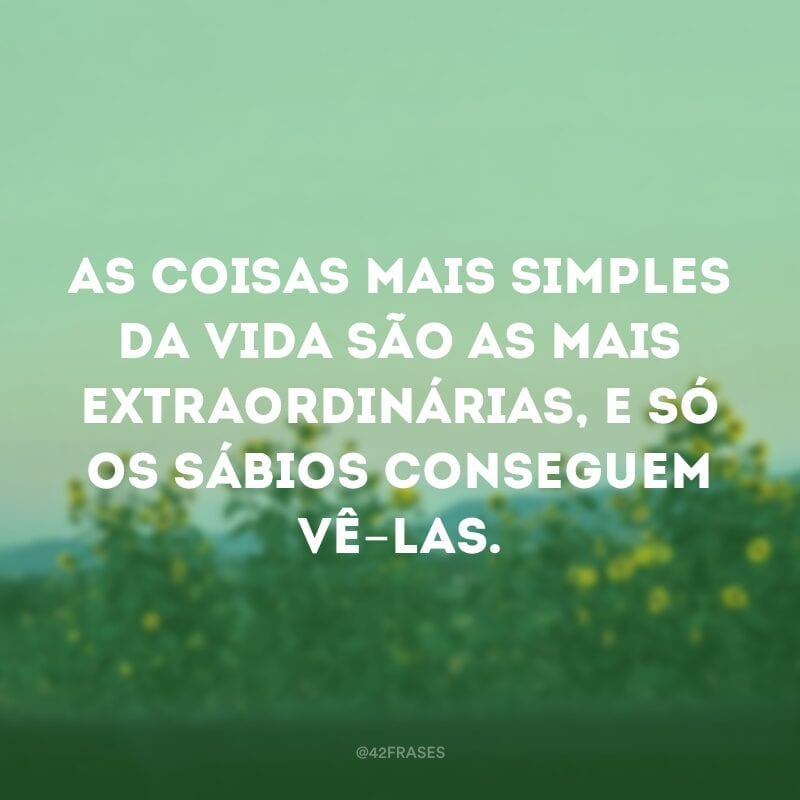 As coisas mais simples da vida são as mais extraordinárias, e só os sábios conseguem vê-las.