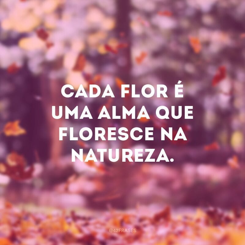 Cada flor é uma alma que floresce na natureza.