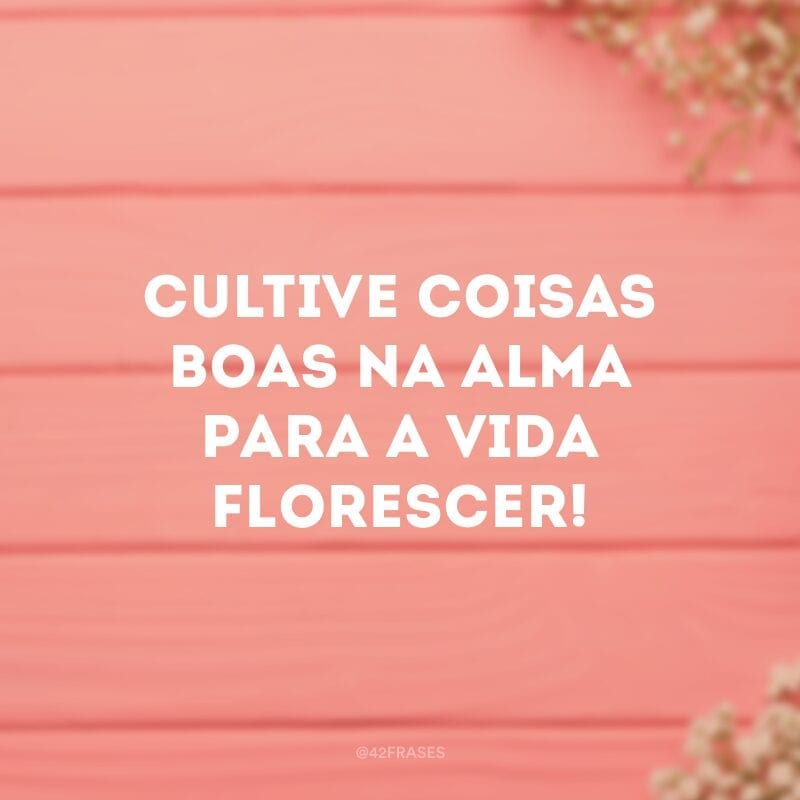 Cultive coisas boas na alma para a vida florescer!