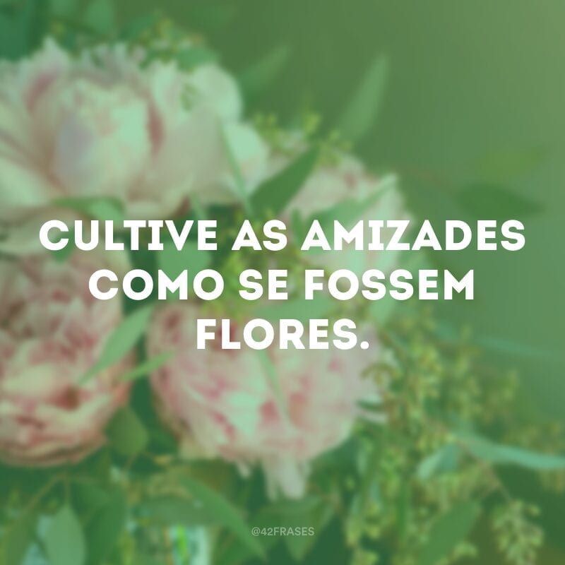 Cultive as amizades como se fossem flores.