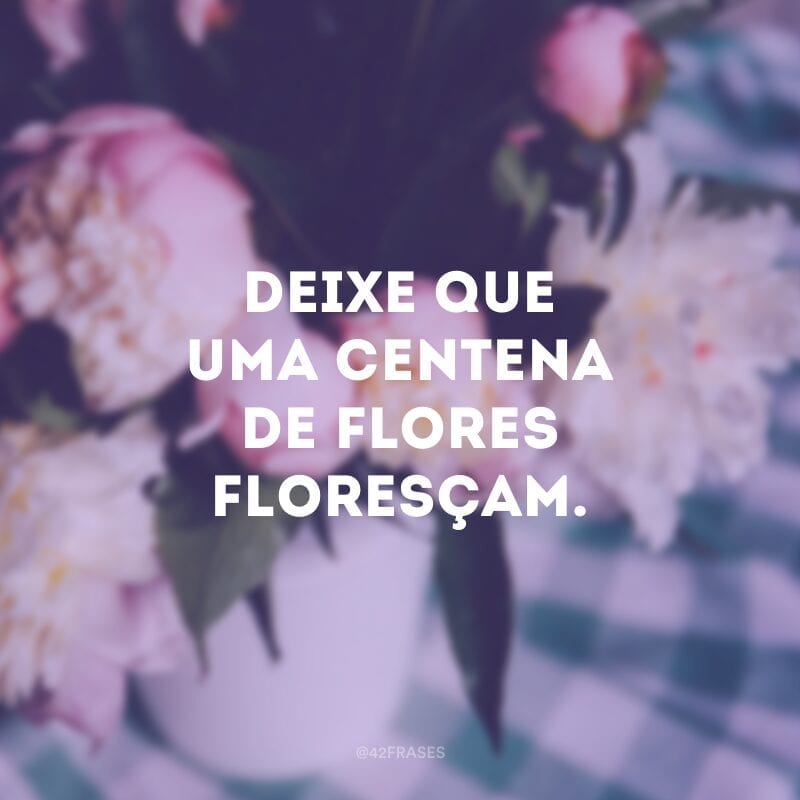 Deixe que uma centena de flores floresçam. 