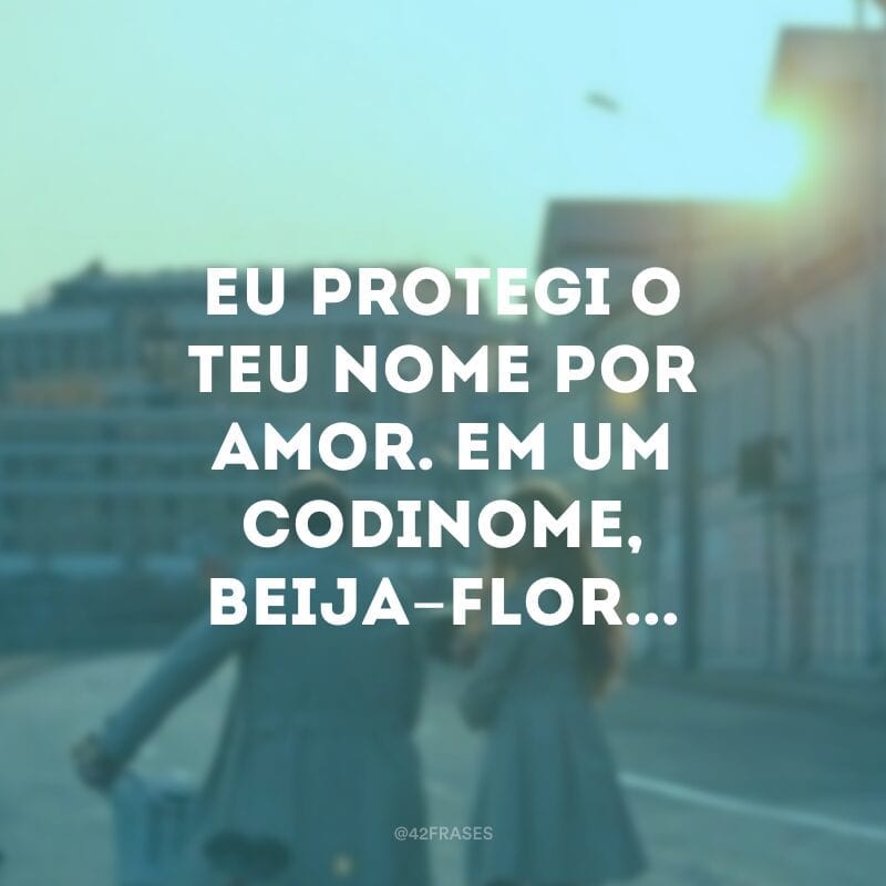 Eu protegi o teu nome por amor. Em um codinome, Beija-flor...