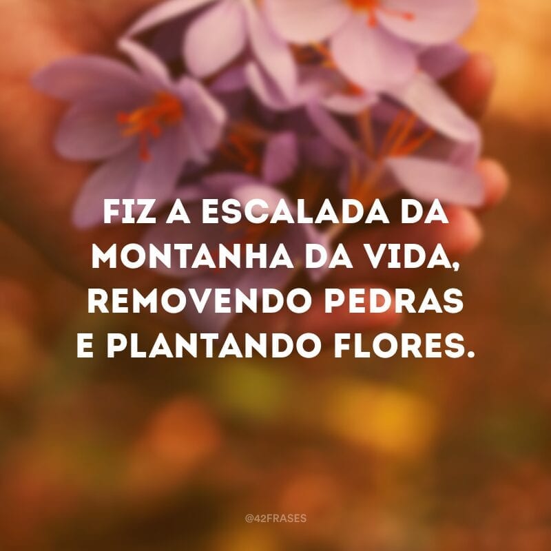 Fiz a escalada da montanha da vida, removendo pedras e plantando flores.