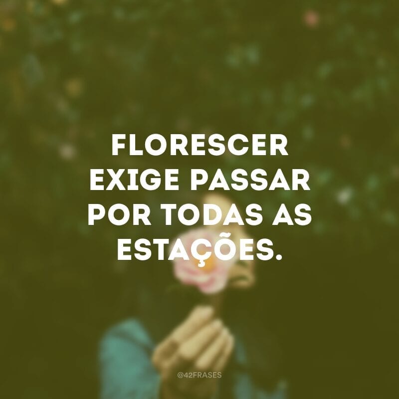 Florescer exige passar por todas as estações.