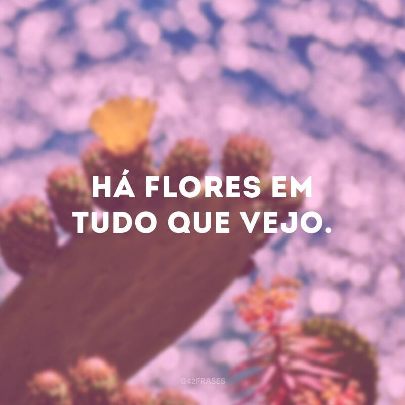 Há flores em tudo que vejo.