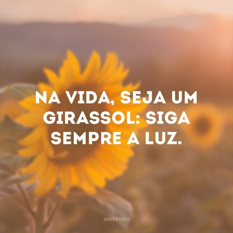 Na vida, seja um girassol: siga sempre a luz.