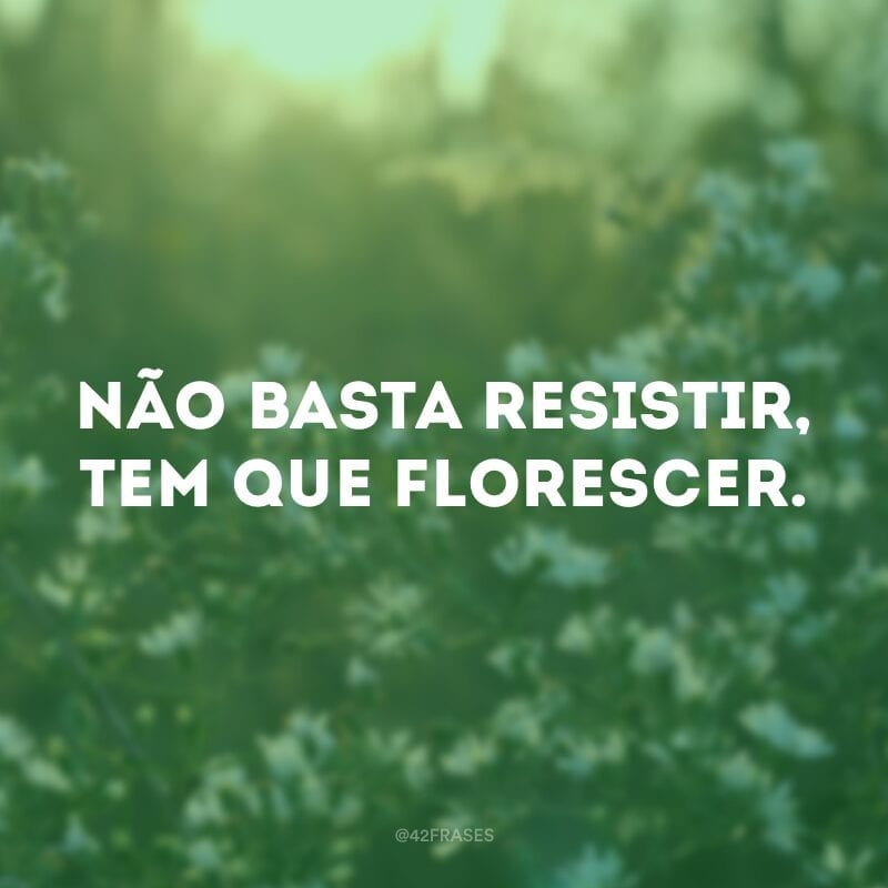 Não basta resistir, tem que florescer.