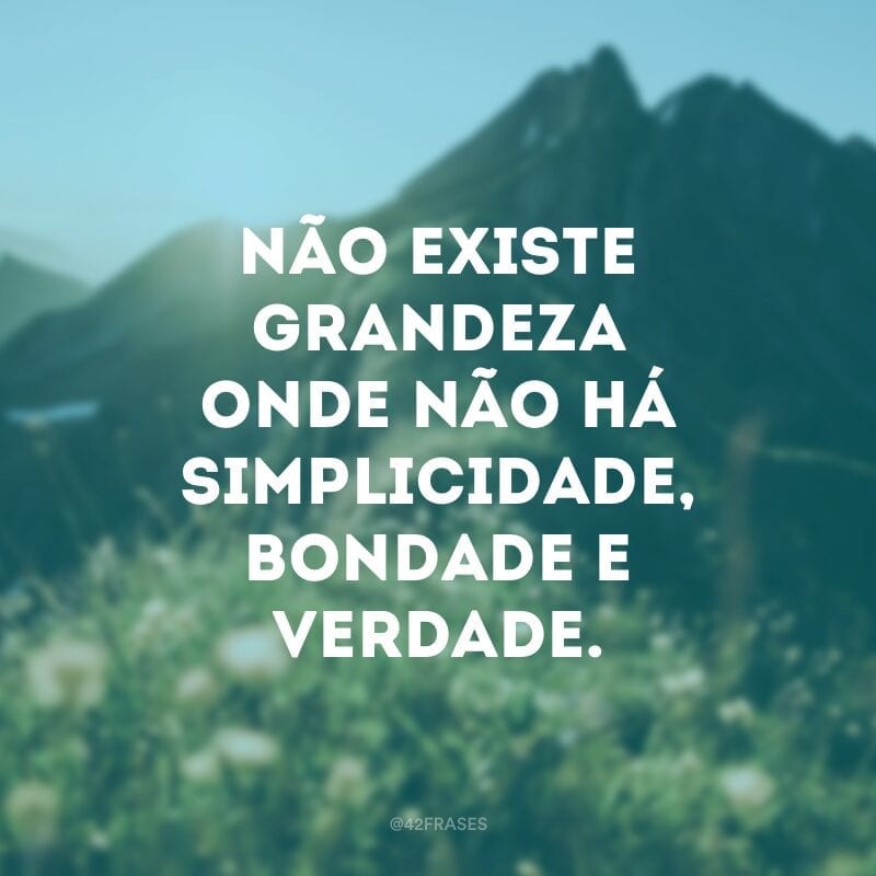 Não existe grandeza onde não há simplicidade, bondade e verdade.