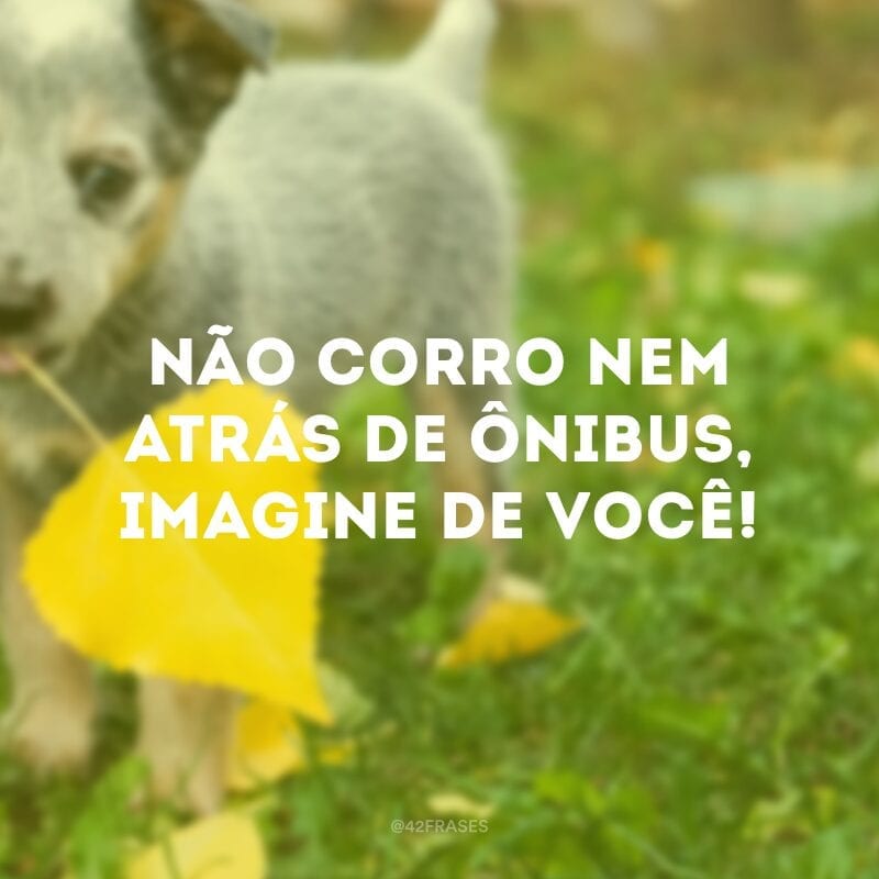 Não corro nem atrás de ônibus, imagine de você!