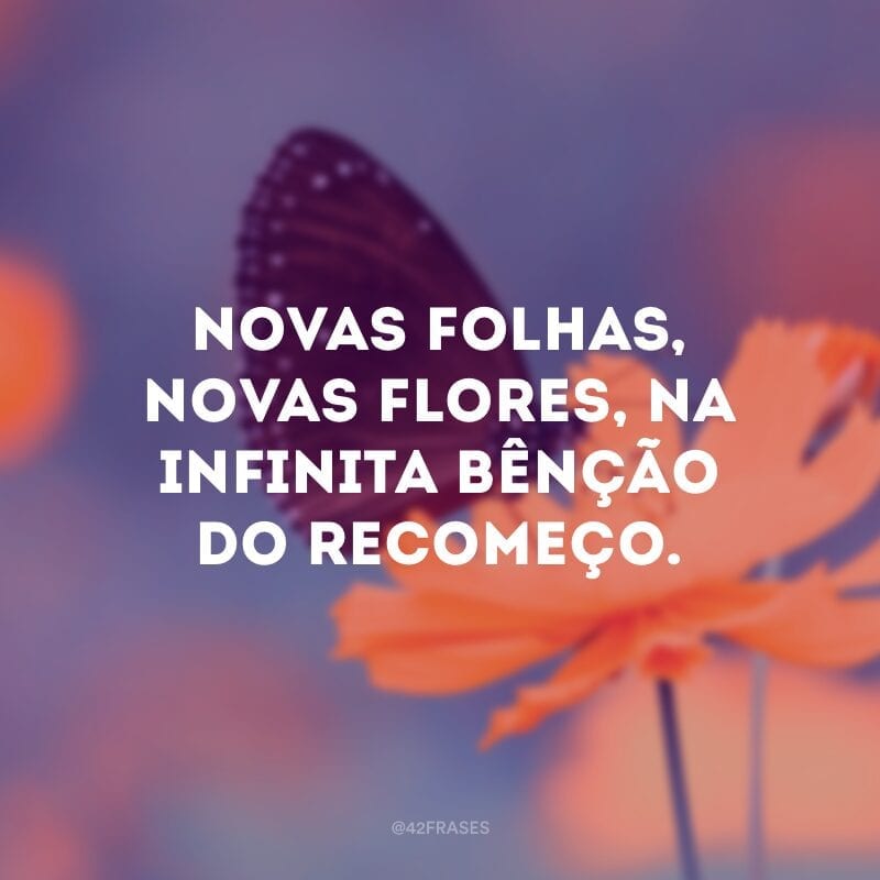 Novas folhas, novas flores, na infinita bênção do recomeço. 