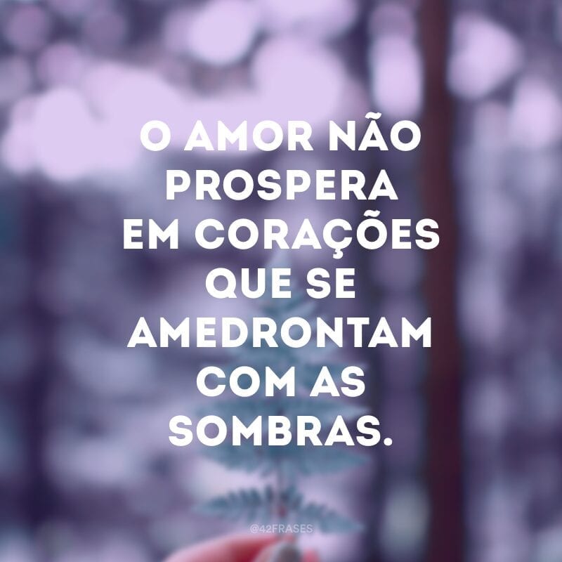 O amor não prospera em corações que se amedrontam com as sombras.