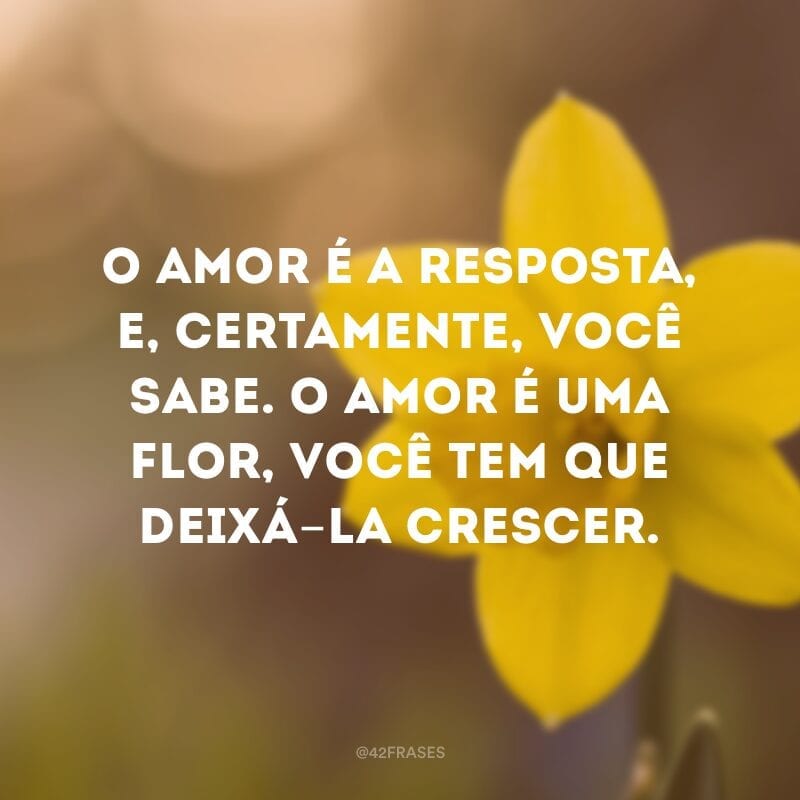 O amor é a resposta, e, certamente, você sabe. O amor é uma flor, você tem que deixá-la crescer.