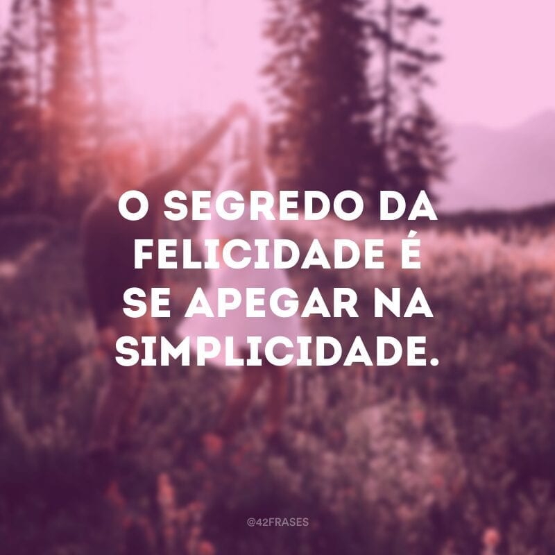 O segredo da felicidade é se apegar na simplicidade.