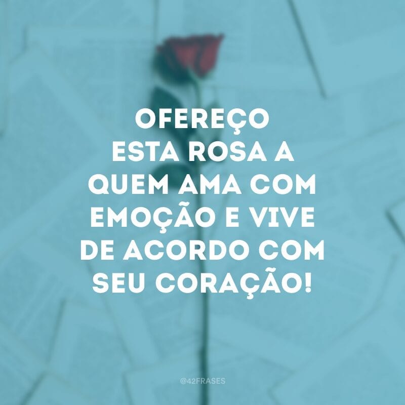 Ofereço esta rosa a quem ama com emoção e vive de acordo com seu coração!