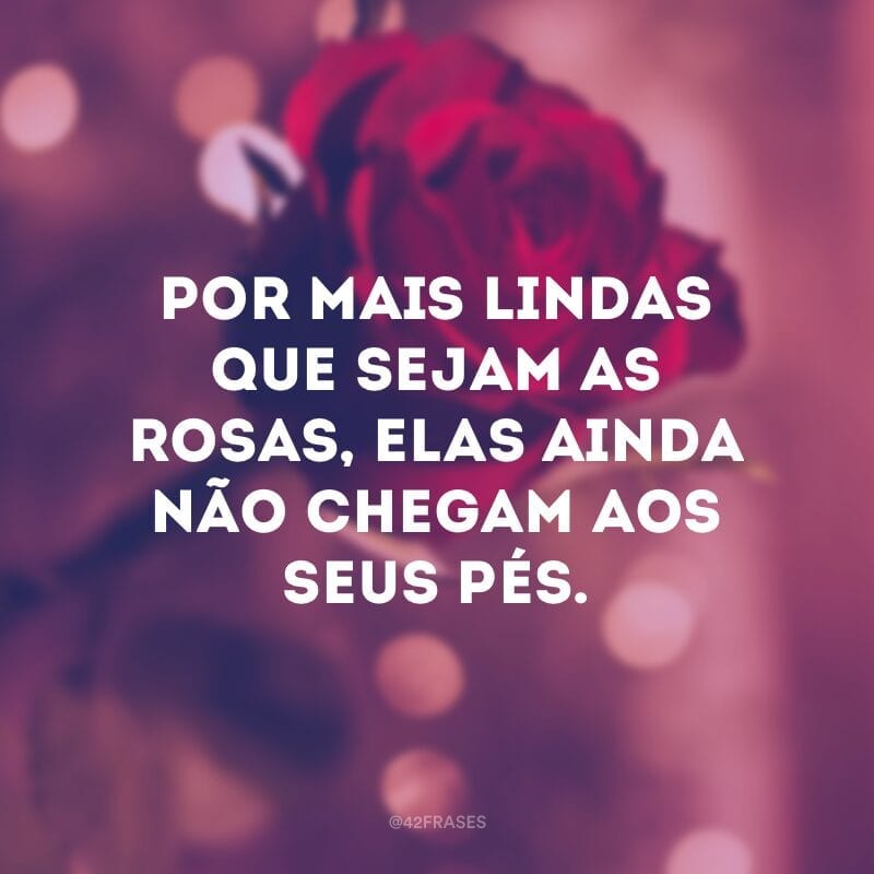 Por mais lindas que sejam as rosas, elas ainda não chegam aos seus pés.