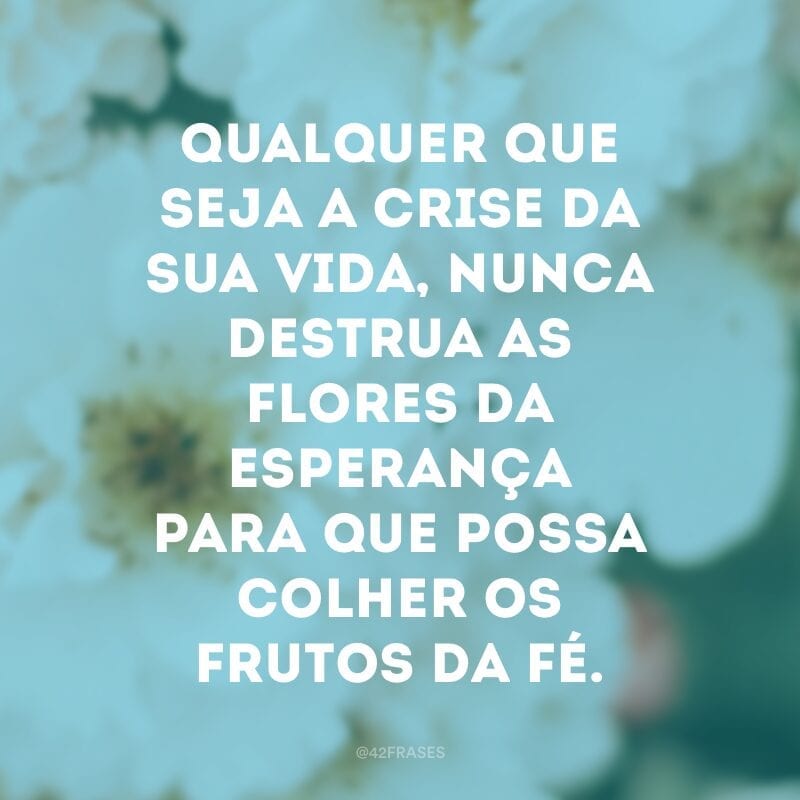 Qualquer que seja a crise da sua vida, nunca destrua as flores da esperança para que possa colher os frutos da fé.