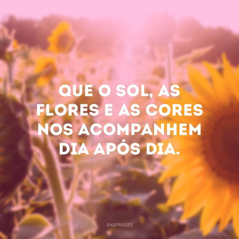 Que o sol, as flores e as cores nos acompanhem dia após dia.