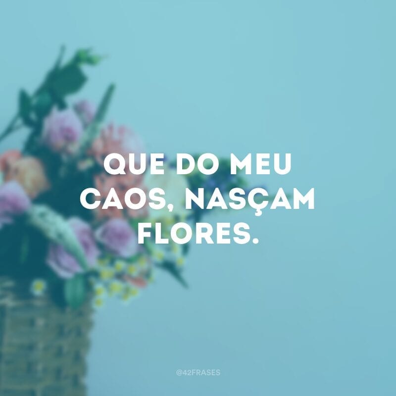 Que do meu caos, nasçam flores.