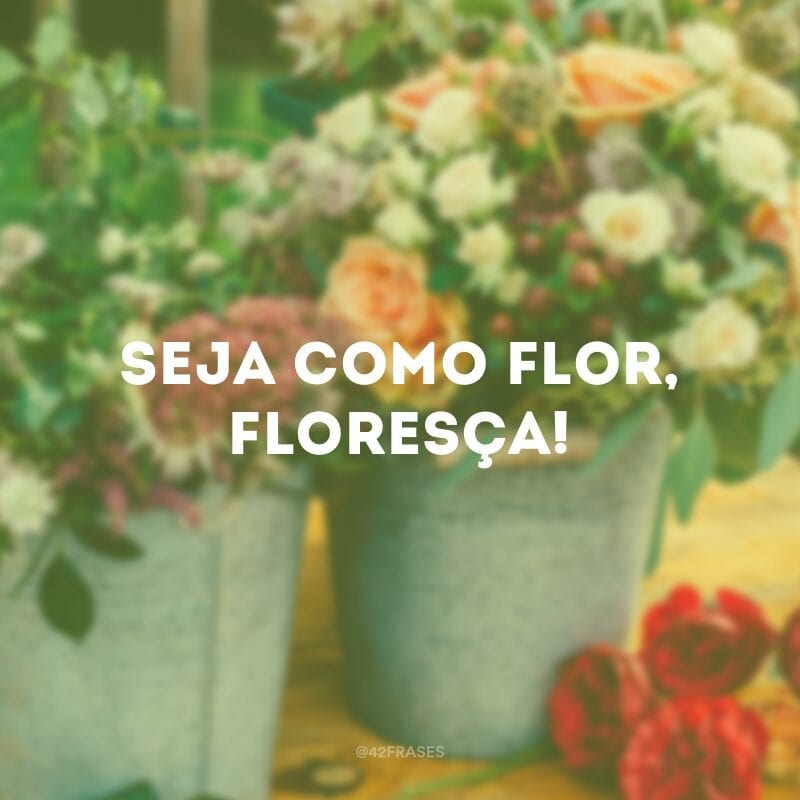 Seja como flor, floresça!