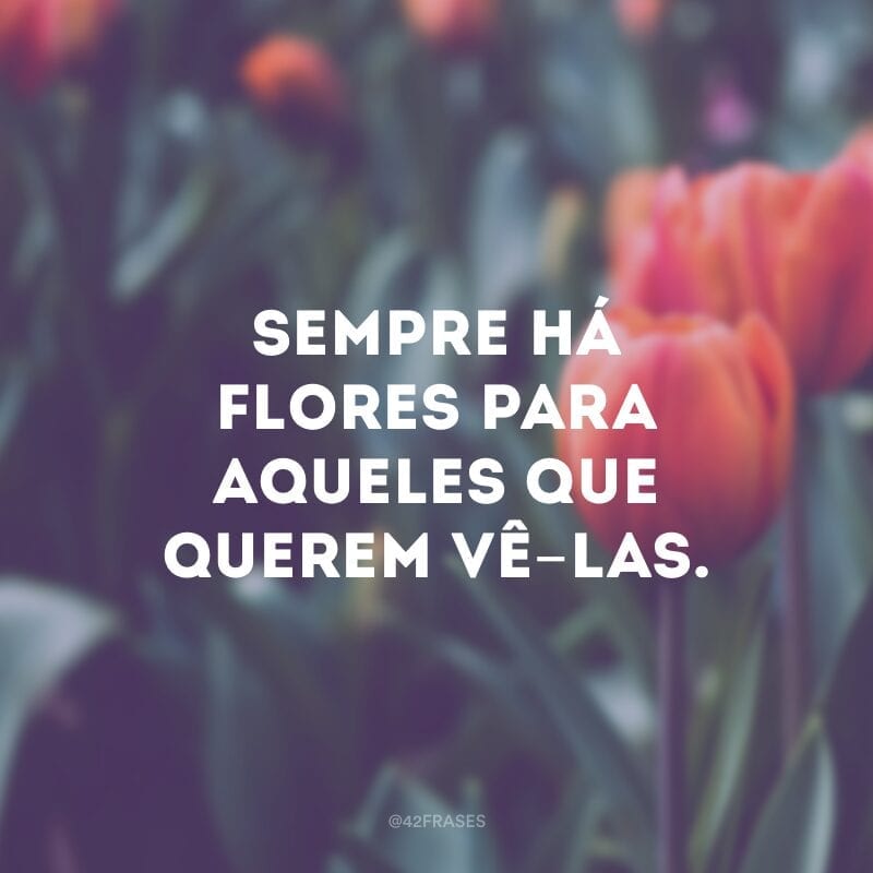 Sempre há flores para aqueles que querem vê-las.