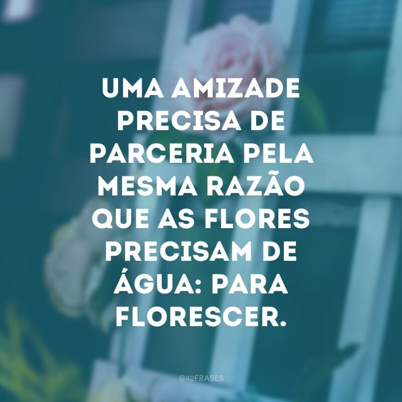 Uma amizade precisa de parceria pela mesma razão que as flores precisam de água: para florescer.