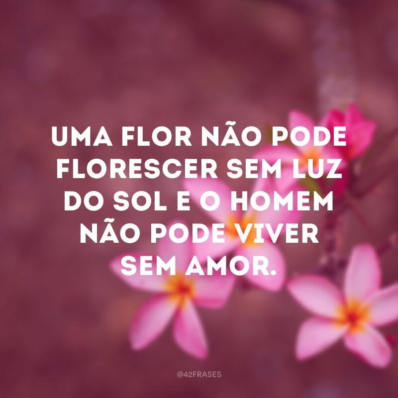 Uma flor não pode florescer sem luz do sol e o homem não pode viver sem amor.