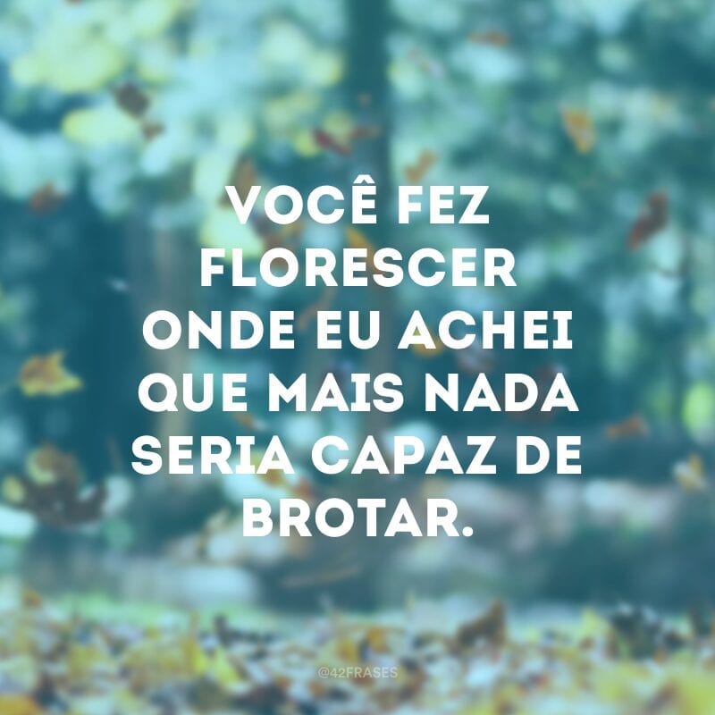 Você fez florescer onde eu achei que mais nada seria capaz de brotar.