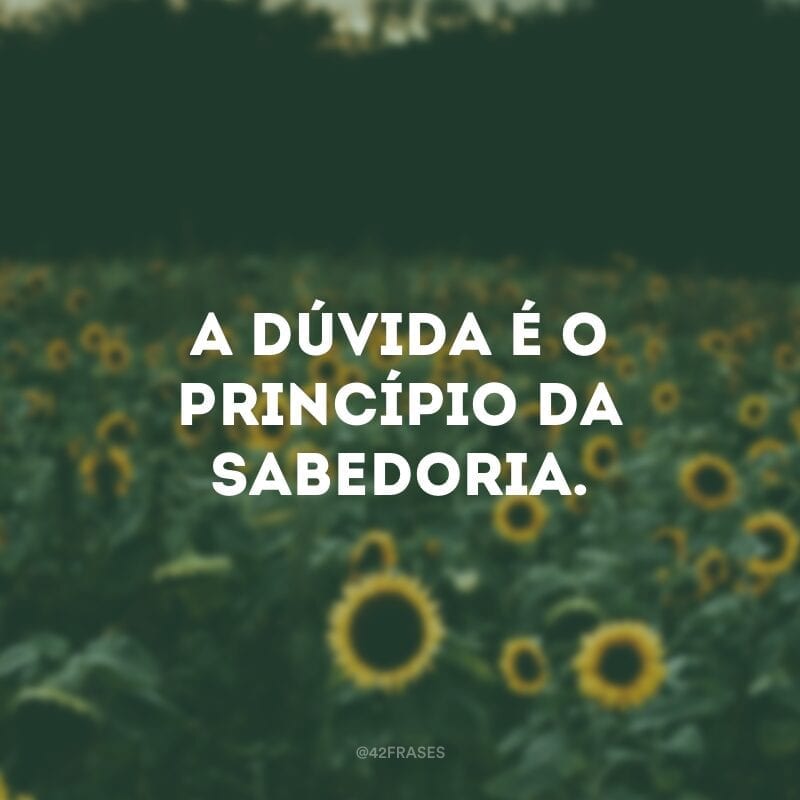 A dúvida é o princípio da sabedoria.