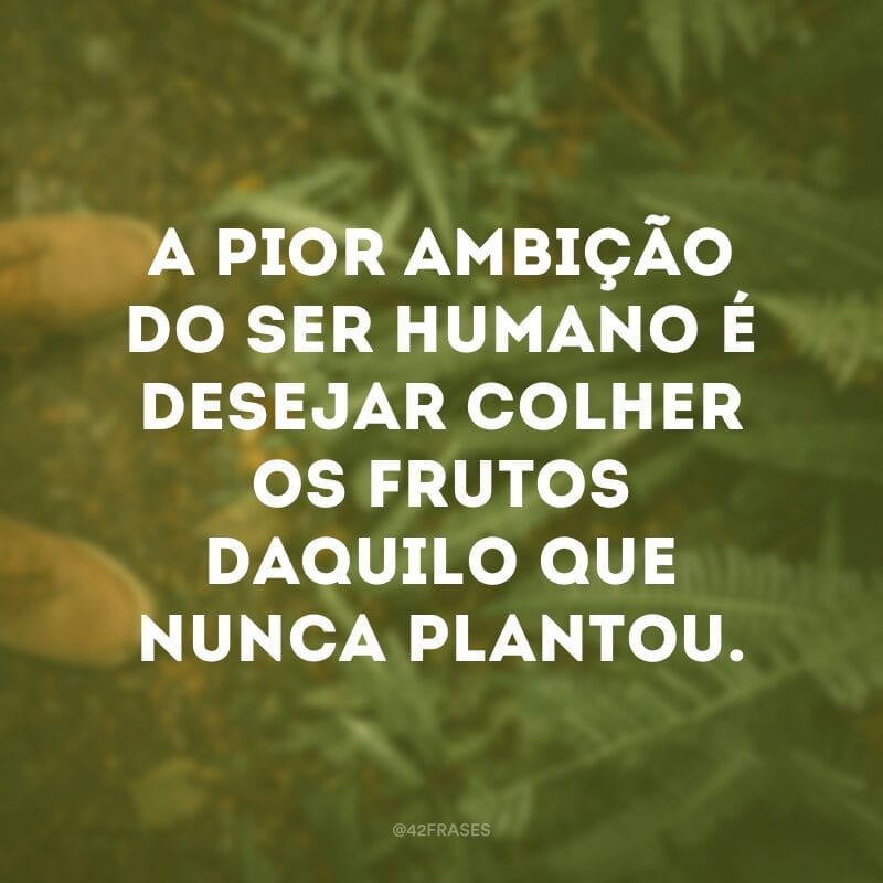 A pior ambição do ser humano é desejar colher os frutos daquilo que nunca plantou.