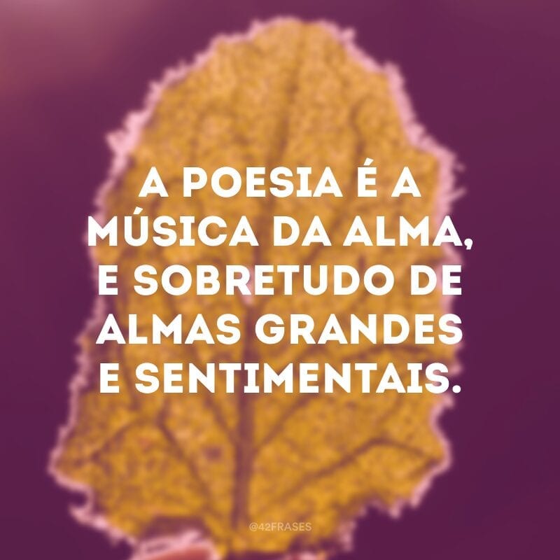 A poesia é a música da alma, e sobretudo de almas grandes e sentimentais.