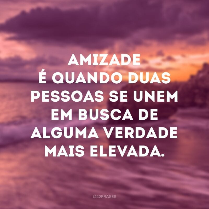 Amizade é quando duas pessoas se unem em busca de alguma verdade mais elevada.