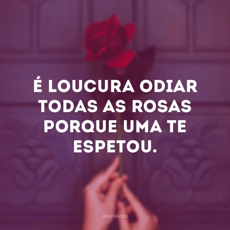 É loucura odiar todas as rosas porque uma te espetou.