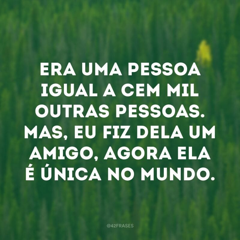 Era uma pessoa igual a cem mil outras pessoas. Mas, eu fiz dela um amigo, agora ela é única no mundo.