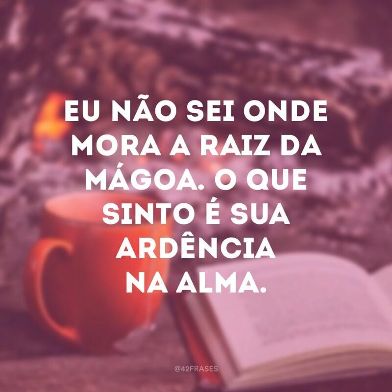 Eu não sei onde mora a raiz da mágoa. O que sinto é sua ardência na alma.