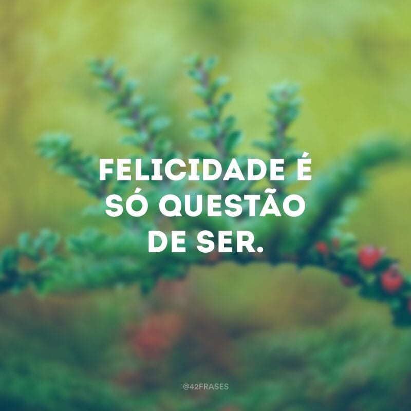 Felicidade é só questão de ser.