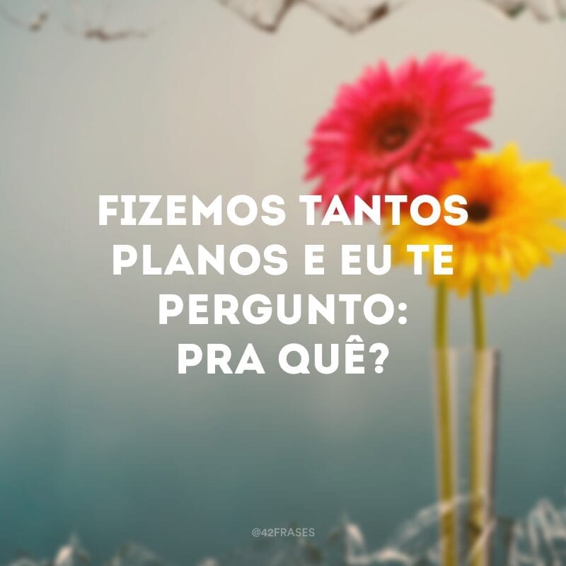 Fizemos tantos planos e eu te pergunto: pra quê?